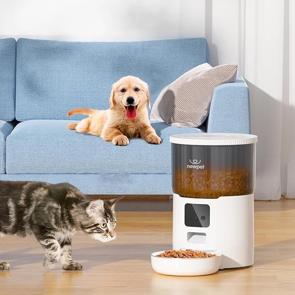 PETKIT Alimentador Automático para gatos com WiFi e sachê dessecante