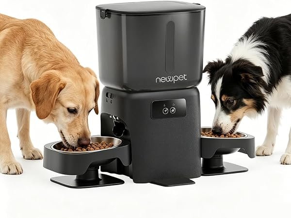 NEWPET Comedouro Automático 6L com WiFi e tigela de aço inoxidável
